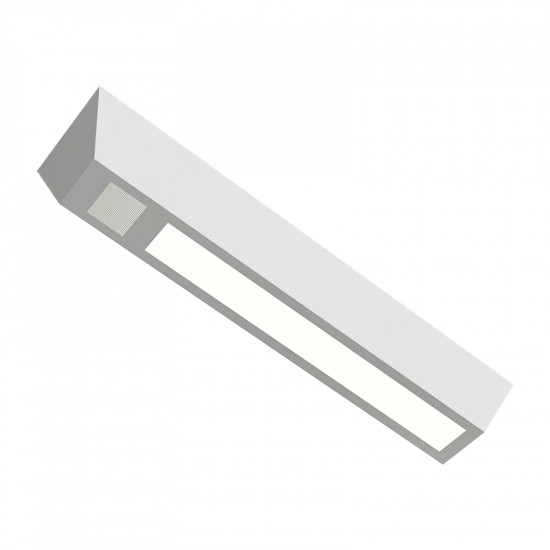 BASPK - LED CORRECTIONAL SURFACE MOUNT FOR INTEGRATED SPEAKER