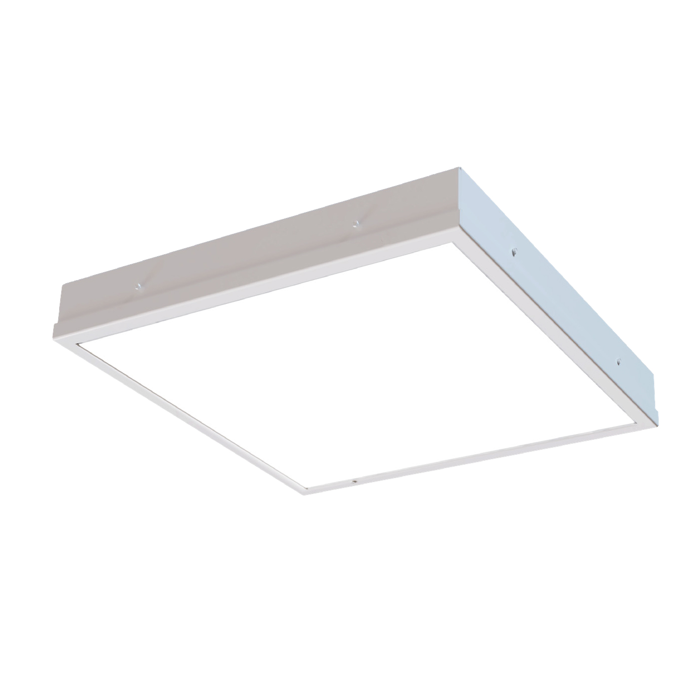 Advantage Environmental Lighting FPTISO58CLEANROOMLOWPROFILEINSETDOORLUMINAIRE