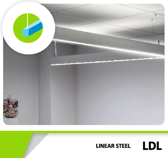 LDL