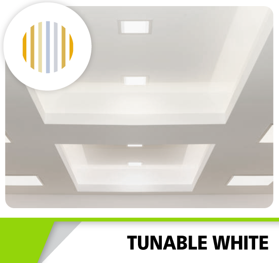 AEL Tunable White