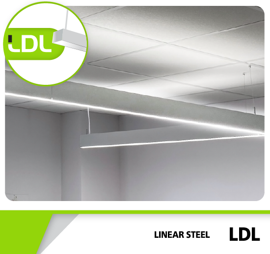 LDL